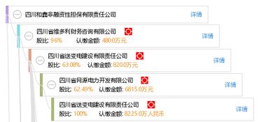 四川和鑫非融資性擔保有限責任公司 專注非融資性擔保業務，助力企業穩健發展