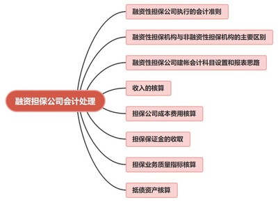 非融資性擔(dān)保業(yè)務(wù)在融資擔(dān)保公司的會計(jì)賬務(wù)處理探析